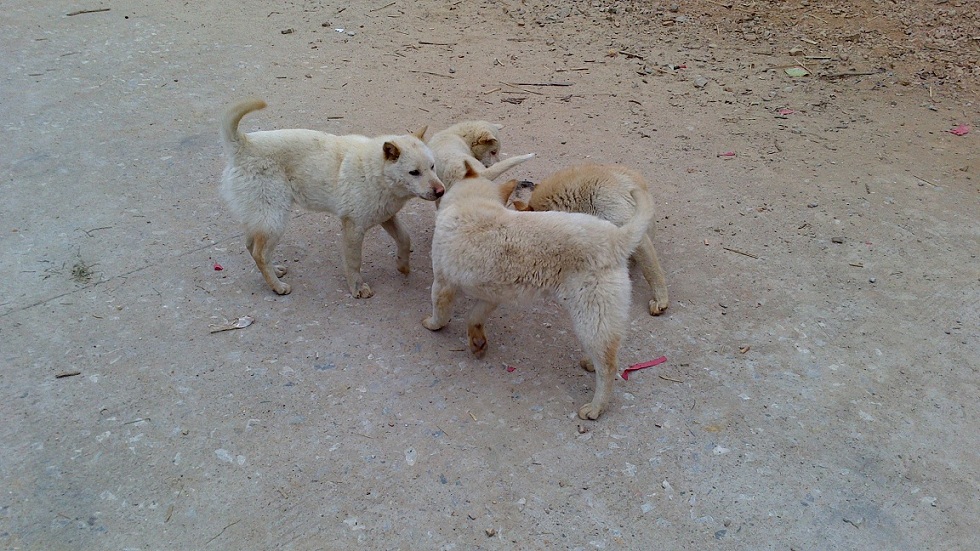 ڿӿѡתС·ڣѡұߵС·ûԶѾɽ·ľͷֻС ...