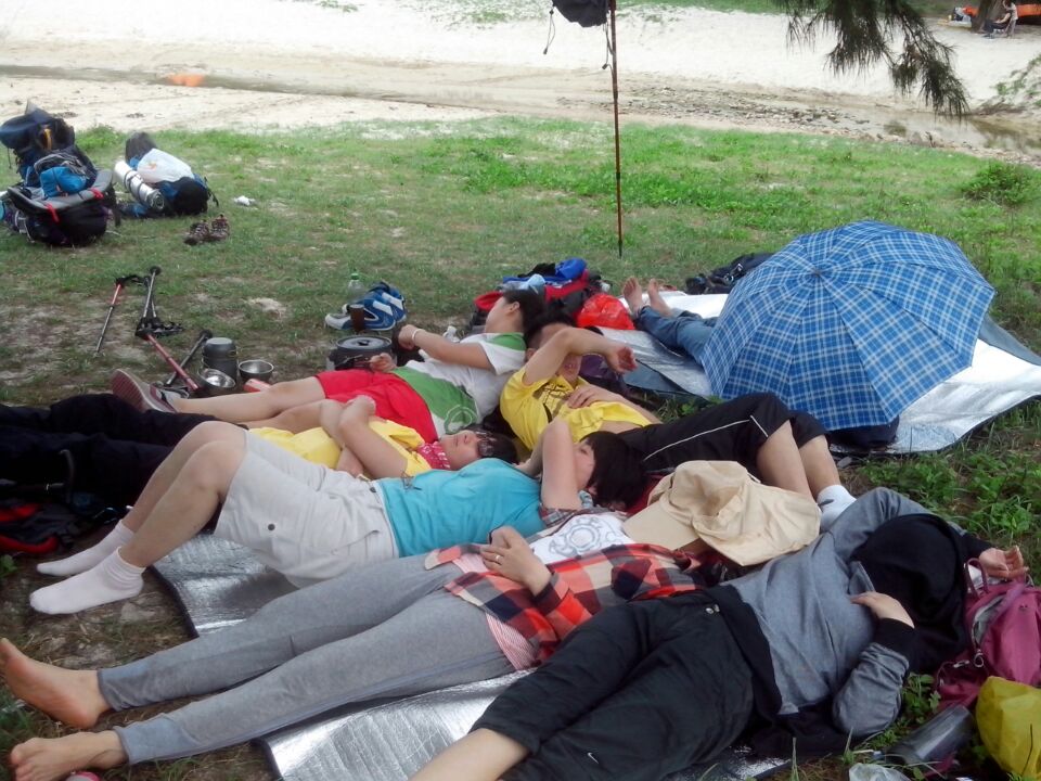 ��ſ����