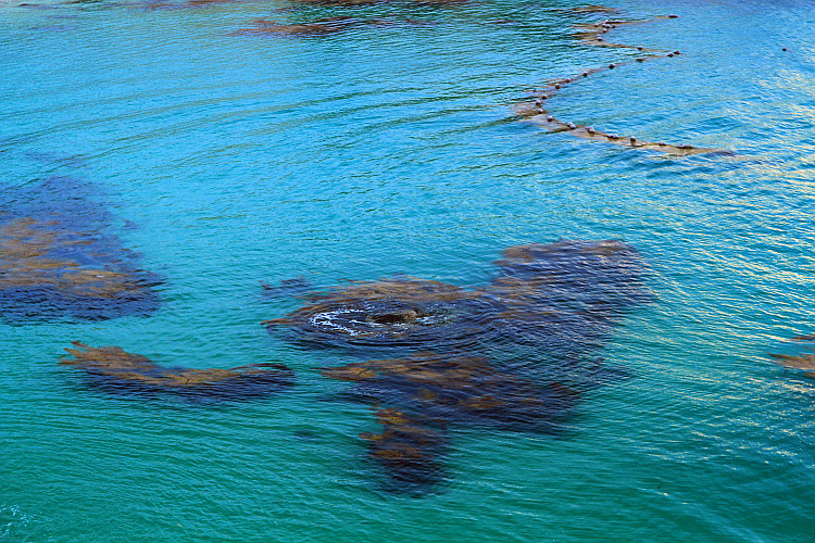 2014.4.26-27������Ƭ 154_����.jpg