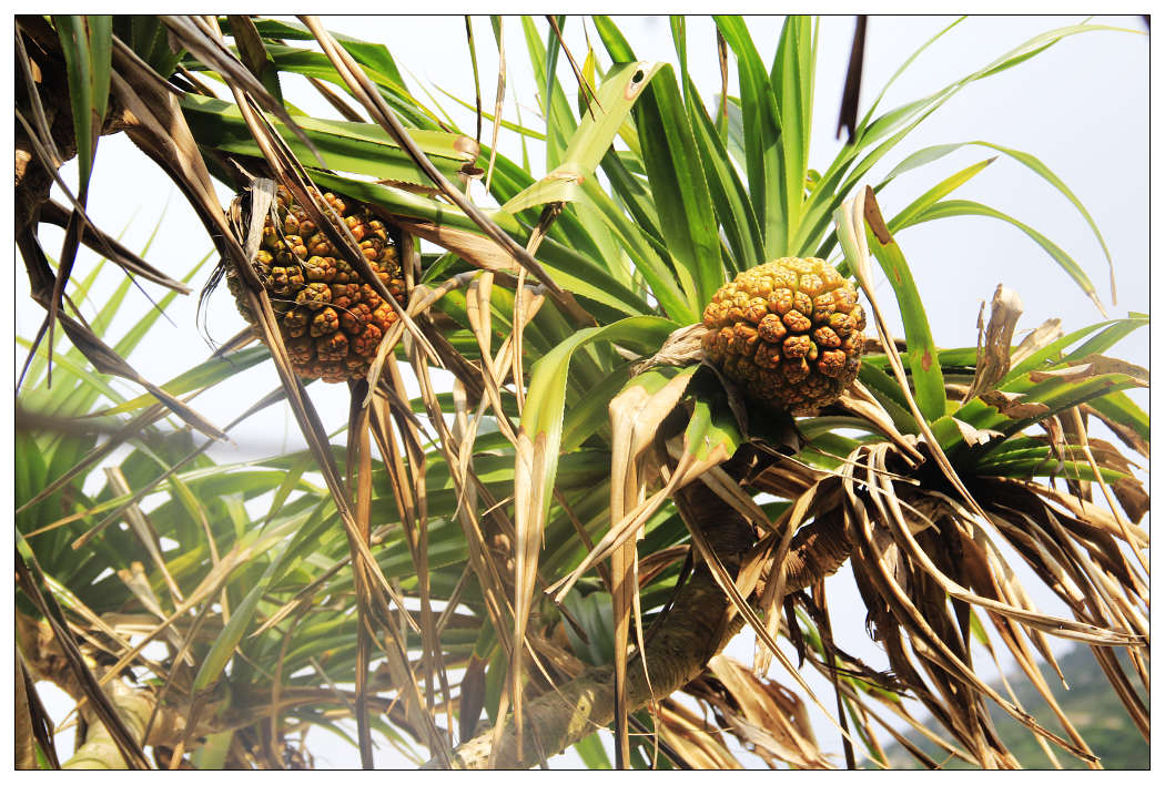 ��Ƭ 061_nEO_IMG.jpg