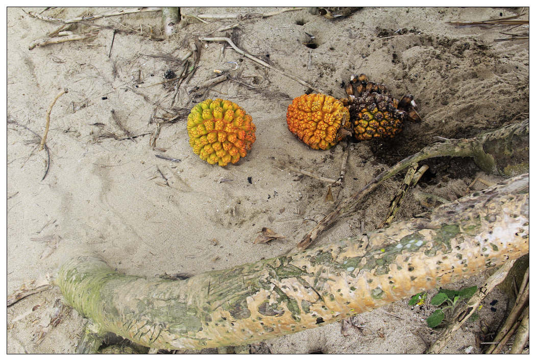 ��Ƭ 059_nEO_IMG.jpg