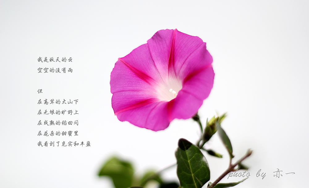 賿㣬·һͼ緹͵˶仨·