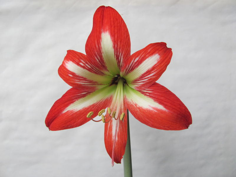 �춥���ĸ��