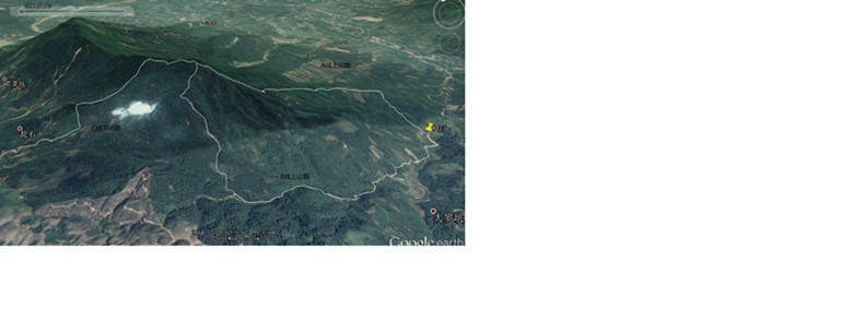 ������·�켣