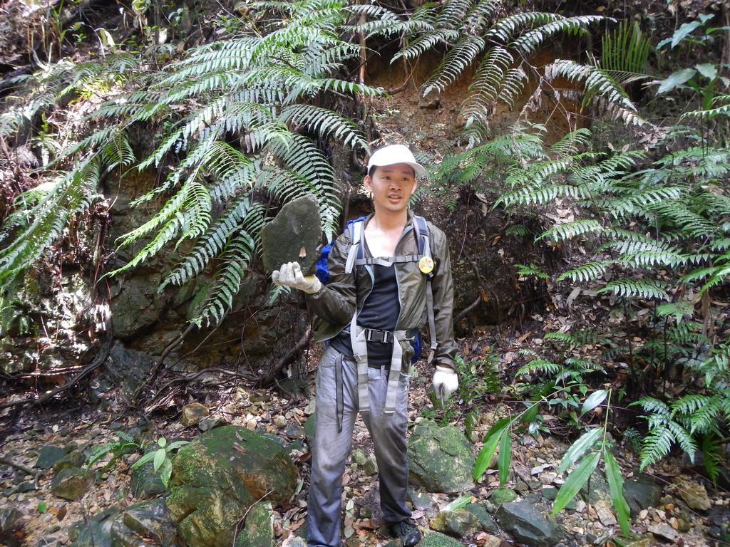 ����˵Ҫ�����ʯͷ�ؼ�