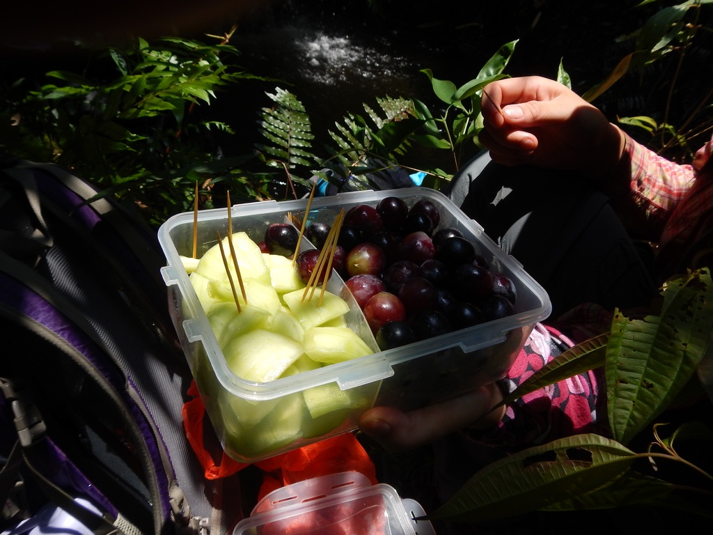 С�����ĸ�������