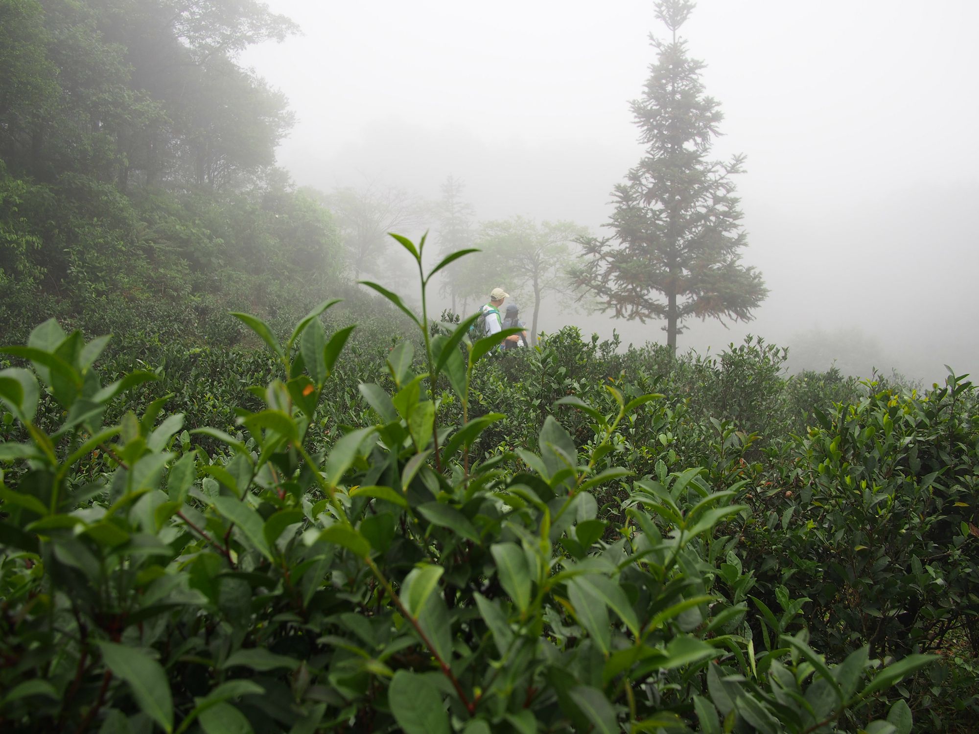 ƺأȻ޹ũҩ޻ʣ޲Ʒ