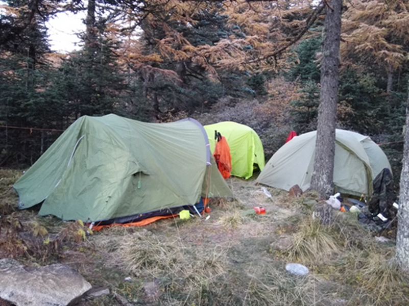 ���ǵ�Ӫ��