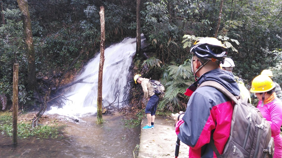 ˮ���γ���һ��С�ٲ�