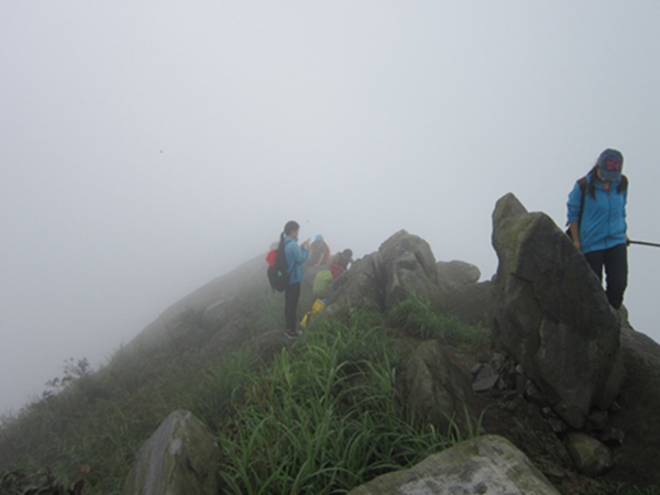 �����ƶ�����3