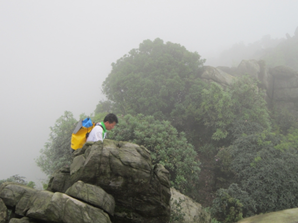 �����ƶ�����6