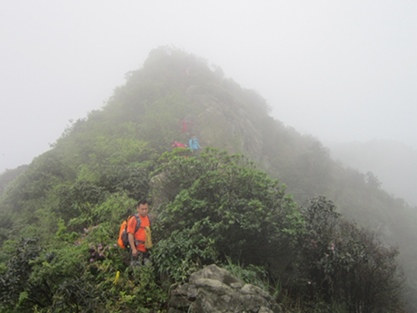 �����ƶ�����9