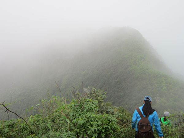 �����ƶ�����12