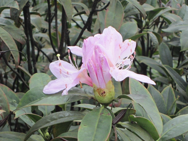 ��Ϊ˭�Ҷ��Կ�