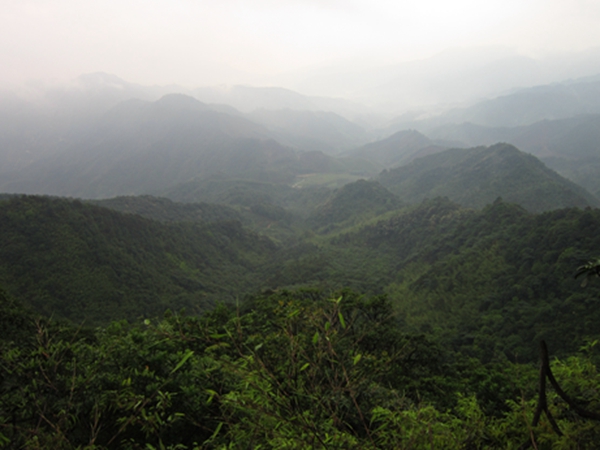 ����ɽ���8