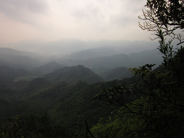 ����ɽ���9