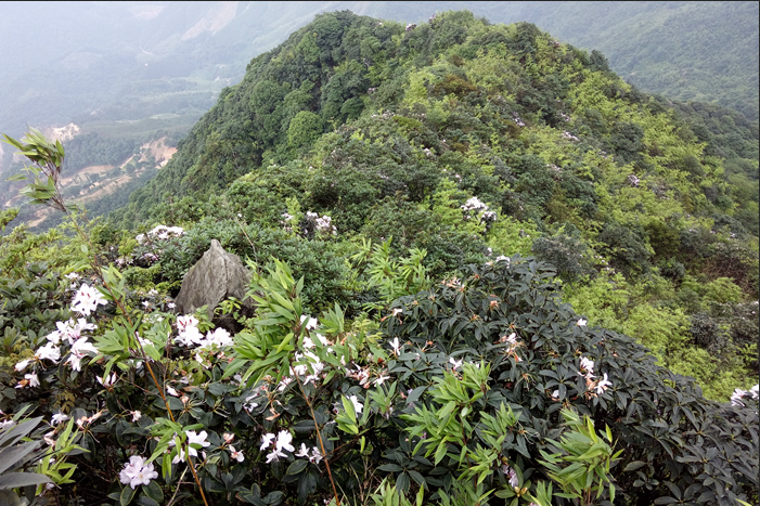 �ϴ�����ɽ 2.png