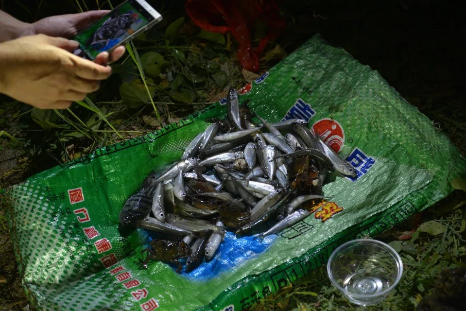 �������ǁڰ����׽�����ȡ��������ȣ��㶮��