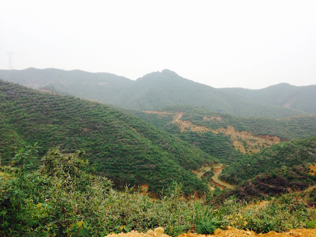 FullSizeRender 6.jpg