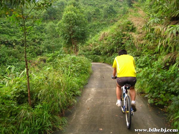 ACO��ͷ������