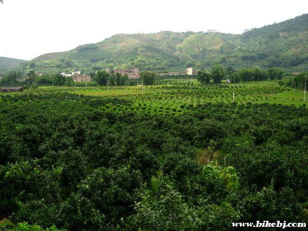 ǰŴ䣬洦ԼһƬһƬĽ԰