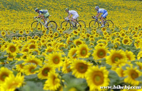 ���۶������տ�