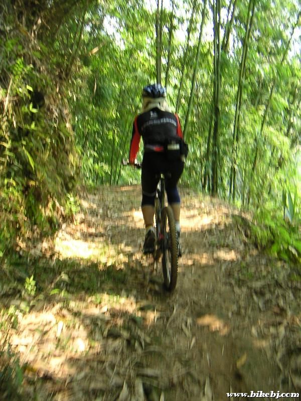 ������Ψһ���ó��ֵ�ʮ������pp,ллС����mt