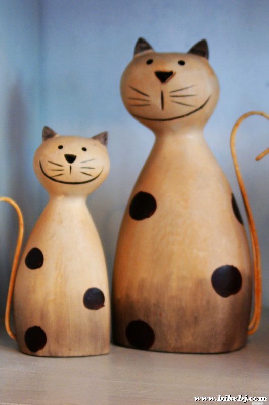 ��������Ʒ05