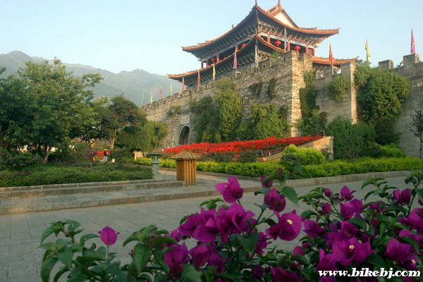 �����ų�