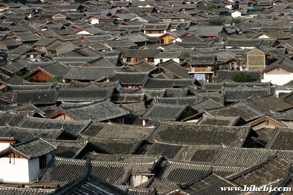 �����ų�