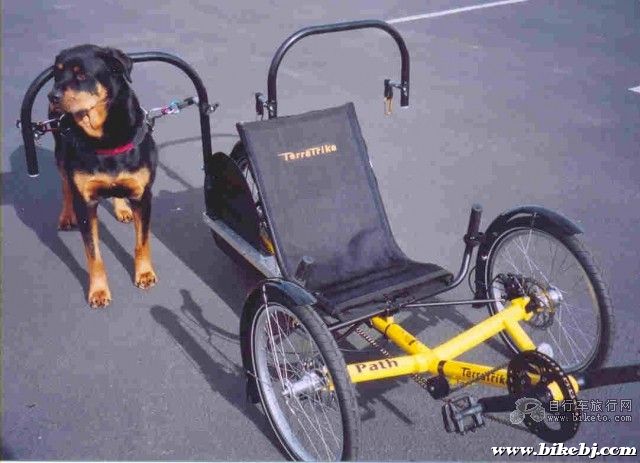 ˫������