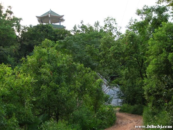 �½��Ĺ���ͤ