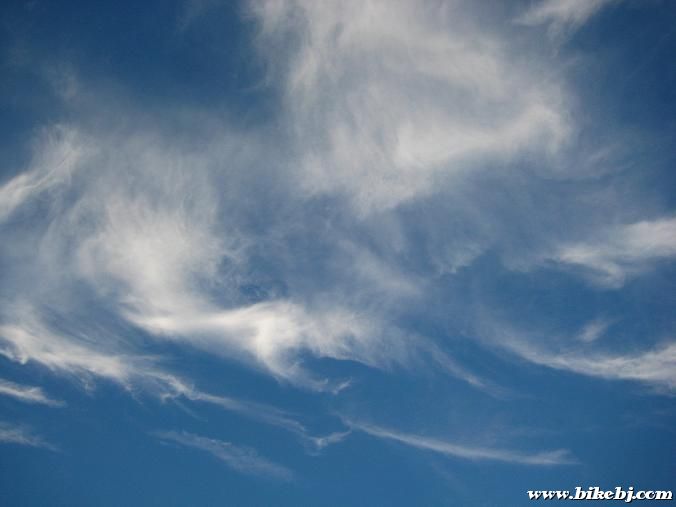 ���������ϰ���Ʈ