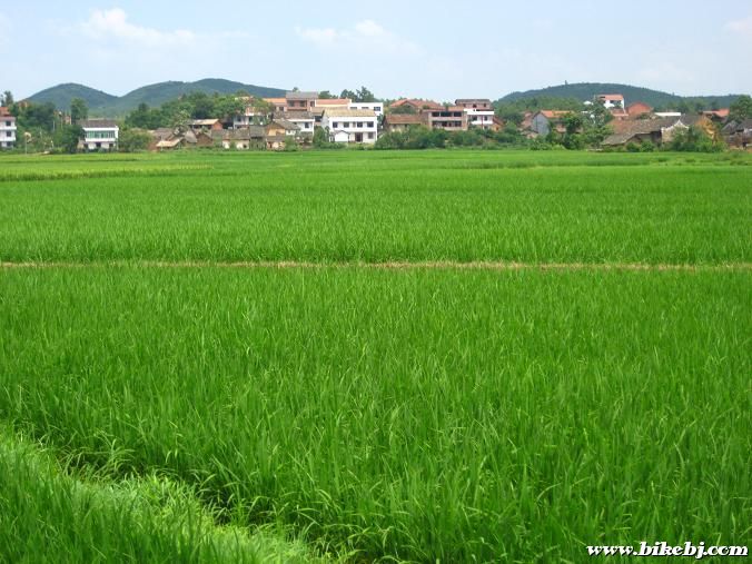 ��;��������԰���