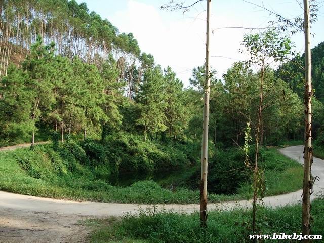 ������С DSC03880.JPG