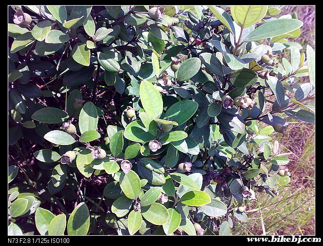 ��ɽ�ĸ�����ֻ��ϧû�������ʱ���Ҳ�Ҫ����ȥ�ɡ�