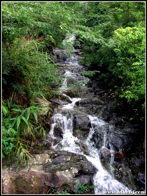 ·�ߵ�С�ٲ�