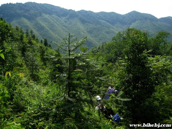 �����ڴ�ɽ�Ļ������н�