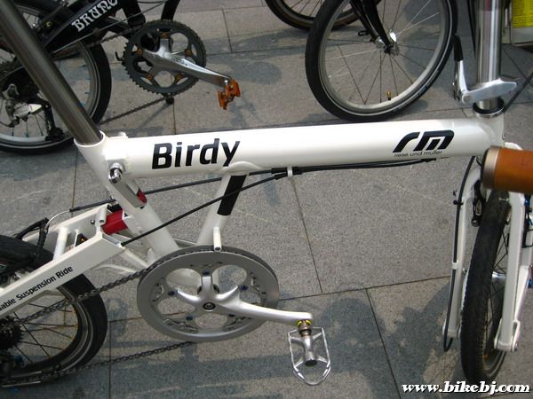 ��һ����ɫBIRDY