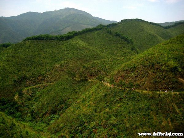 ����Ƭ��Զ����߷弴Ϊ206����ü����