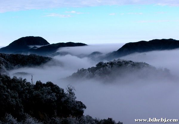 �㶫��һ���ƺ�