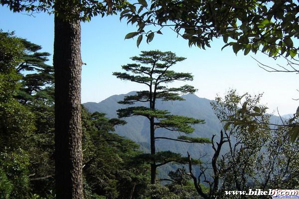 �㶫��һ��ԭʼɭ��