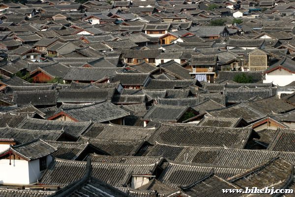 �����ų�