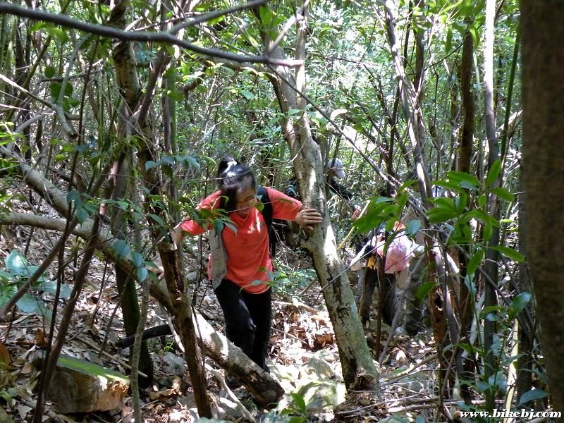 �Ҵ��Ҵ�....