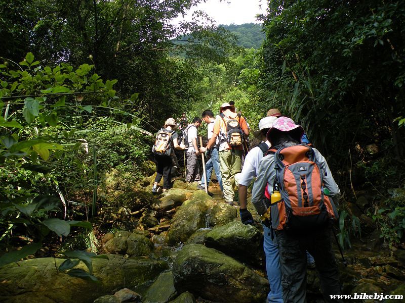 ���ɽ��....