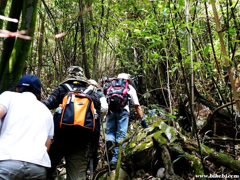 ��Խɽ�ŵ�����