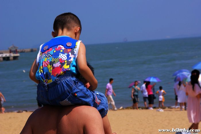 ��̲�ϵĸ�����....