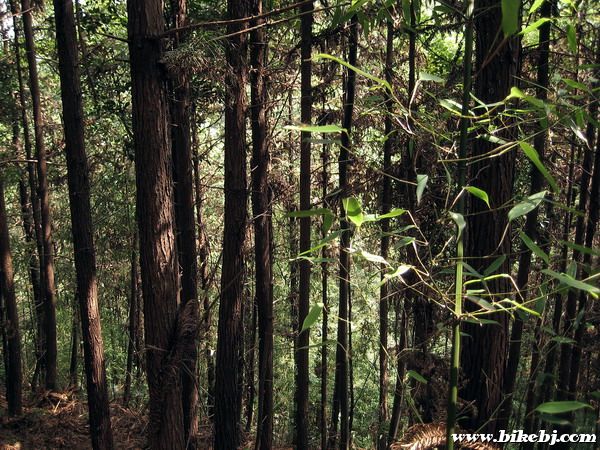 ɽ�����ܣ��Ҳ���ǰ�еĵ�·