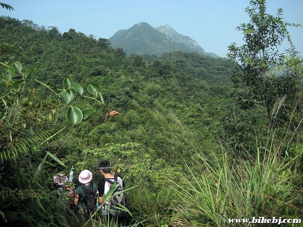 �������ű���������ǰ��