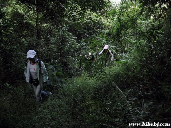 ��������һ�����Ե�ɽ·��ǰ����